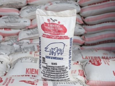 Sow and weaner 10 KG
