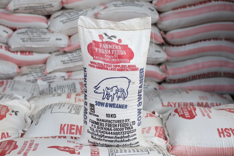 Sow and weaner 10 KG